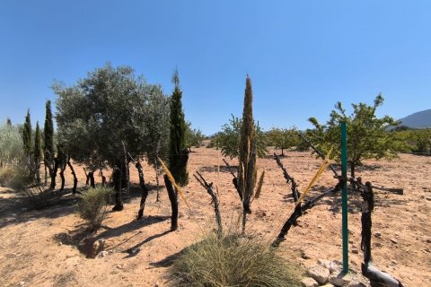 Finca for sale Villena, Alicante, Spain 6 bedrooms, 606 sq.m. No. 131537 - photo 17
