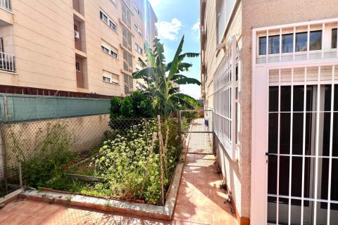 Apartament Torrevieja, Alicante, Hiszpania 3 sypialnie, 140 mkw. nr 125658 – zdjęcie 3