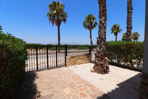 Townhouse for sale Algorfa, Alicante, Spain 3 bedrooms, 100 sq.m. No. 129627 - photo 20