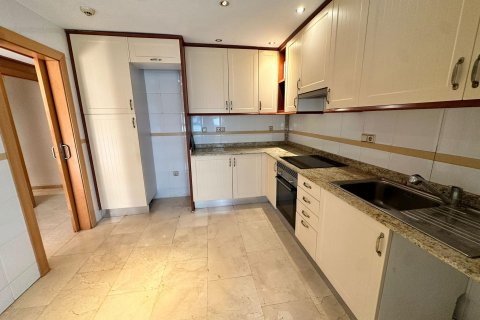 Zemes gabals īrēšanai Alicante, Spānijā 3 istabas, 200 m2 Nr. 130561 - attēls 10