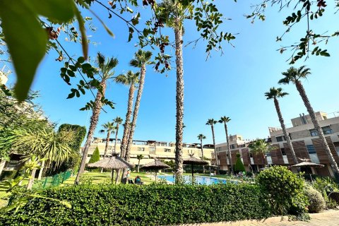 Zemes gabals īrēšanai Alicante, Spānijā 3 istabas, 200 m2 Nr. 130561 - attēls 26
