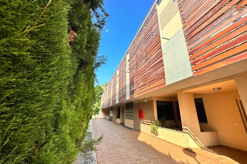 Zemes gabals īrēšanai Alicante, Spānijā 3 istabas, 200 m2 Nr. 130561 - attēls 30