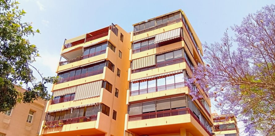 Wohnung Alicante, Spanien 3 Schlafzimmer, 137 m2 Nr. 125748