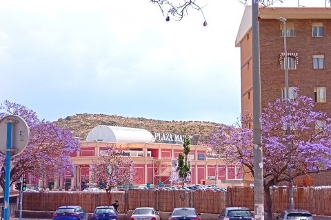 Wohnung zum Verkauf Alicante, Spanien 3 Schlafzimmer, 137 m2 Nr. 125748 - Foto 20