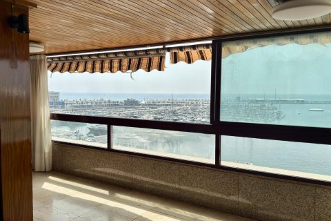 Penthäuser zum Verkauf Alicante, Spanien 6 Schlafzimmer, 391 m2 Nr. 127305 - Foto 5