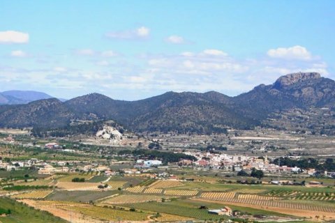 Villa pārdošanā La Romana, Alicante, Spānijā 2 istabas, 115 m2 Nr. 128421 - attēls 18