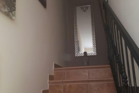 Kamienica Torrevieja, Alicante, Hiszpania 3 sypialnie, 120 mkw. nr 124878 – zdjęcie 15