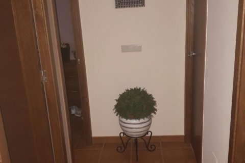 Kamienica Torrevieja, Alicante, Hiszpania 3 sypialnie, 120 mkw. nr 124878 – zdjęcie 16