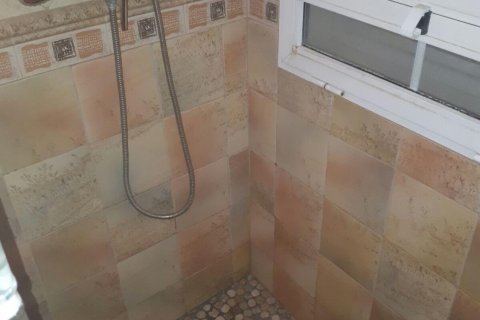 Kamienica Torrevieja, Alicante, Hiszpania 3 sypialnie, 120 mkw. nr 124878 – zdjęcie 26