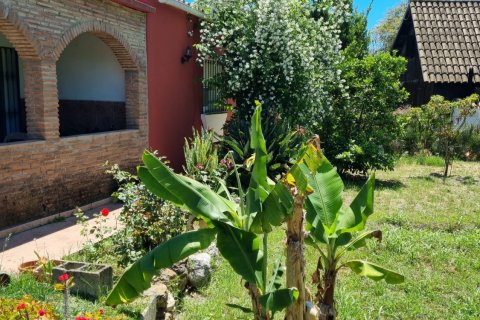 Māja pārdošanā Cortes (San Pedro De Alcantara), Malaga, Spānijā 3 istabas, 102 m2 Nr. 127500 - attēls 18