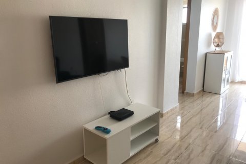 Продажа квартиры Бенидорм, Аликанте, Испания 1 спальня, 64м2 №127371 - фото 6