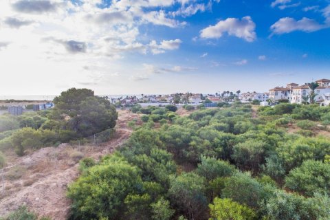 Apartment for sale Playa Flamenca II, Alicante, Spain 2 bedrooms, 83 sq.m. No. 125051 - photo 16