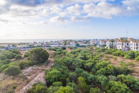 Apartment for sale Playa Flamenca II, Alicante, Spain 2 bedrooms, 83 sq.m. No. 125051 - photo 14