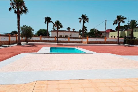 Finca à vendre Catral, Alicante, Espagne, 3 chambres, 147 m2 No. 125462 - photo 9