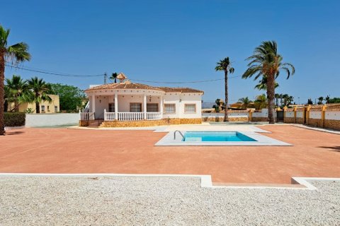 Finca à vendre Catral, Alicante, Espagne, 3 chambres, 147 m2 No. 125462 - photo 1