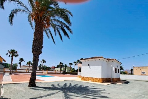 Finca à vendre Catral, Alicante, Espagne, 3 chambres, 147 m2 No. 125462 - photo 16