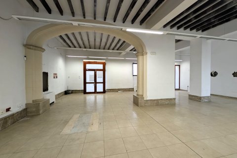 Townhouse zum Verkauf Campos, Mallorca, Spanien 521 m2 Nr. 120024 - Foto 4