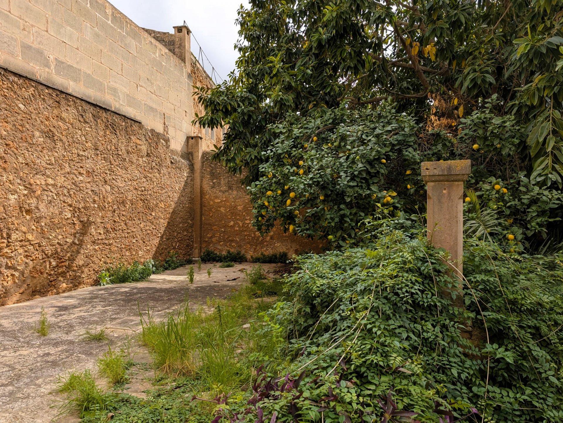 Townhouse in Campos, Mallorca, Spain 521 sq.m. No. 120024