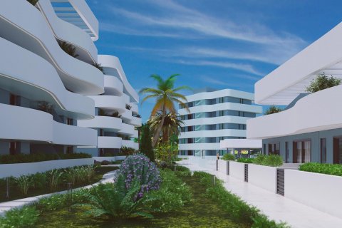 Продажа квартиры в Гуардамар-дель-Сегура, Аликанте, Испания 2 спальни, 78м2 №120029 - фото 17