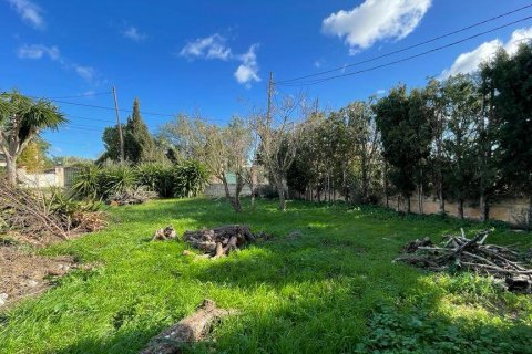 Finca for rent Santa Maria Del Cami, Mallorca, Spain 4 bedrooms, 296 sq.m. No. 128094 - photo 19