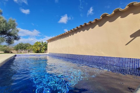 Finca for rent Santa Maria Del Cami, Mallorca, Spain 4 bedrooms, 296 sq.m. No. 128094 - photo 3