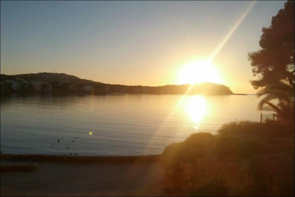 Lägenhet i Santa Ponsa, Mallorca, Spanien 1 sovrum, 56 kvm. Nr. 129534