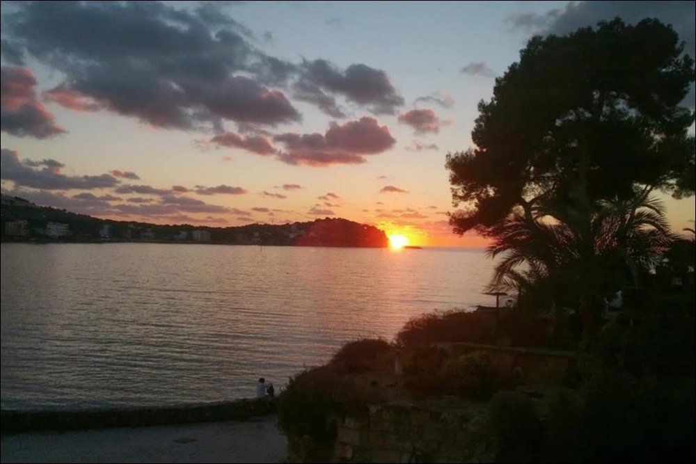 Lägenhet i Santa Ponsa, Mallorca, Spanien 1 sovrum, 56 kvm. Nr. 129534
