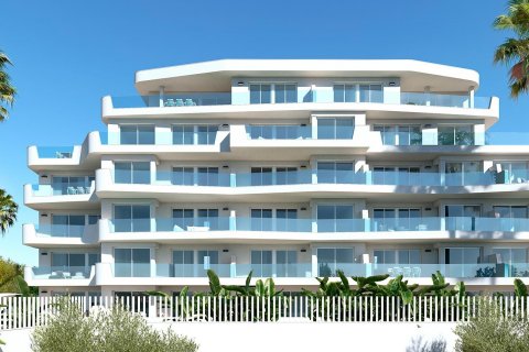 Wohnung zum Verkauf Pilar de la Horadada, Alicante, Spanien 2 Schlafzimmer, 70 m2 Nr. 131356 - Foto 10