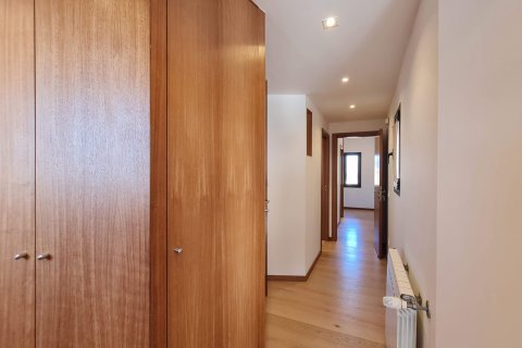 Penthouse for rent Palma de Majorca, Mallorca, Spain 3 bedrooms, 114 sq.m. No. 128109 - photo 10