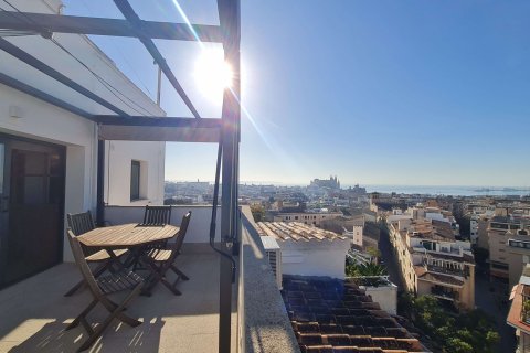 Penthouse for rent Palma de Majorca, Mallorca, Spain 3 bedrooms, 114 sq.m. No. 128109 - photo 3