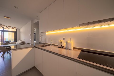 Apartament Benidorm, Alicante, Hiszpania 2 sypialnie, 98 mkw. nr 127198 – zdjęcie 23