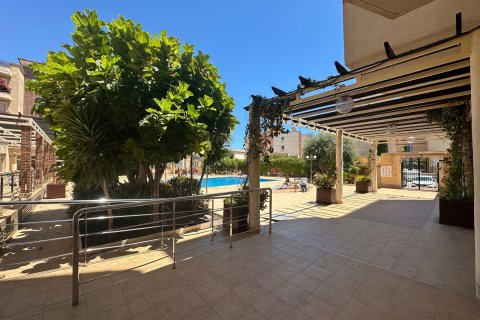 Apartment for sale Alicante, Spain 2 bedrooms, 64 sq.m. No. 125392 - photo 27