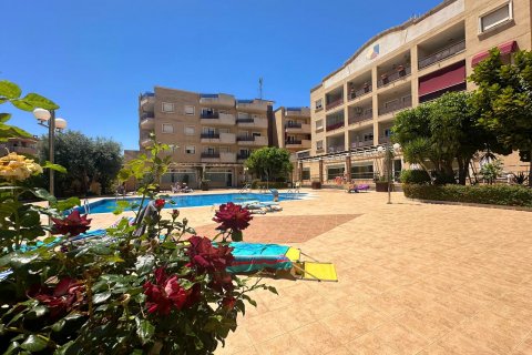 Apartment for sale Alicante, Spain 2 bedrooms, 64 sq.m. No. 125392 - photo 29