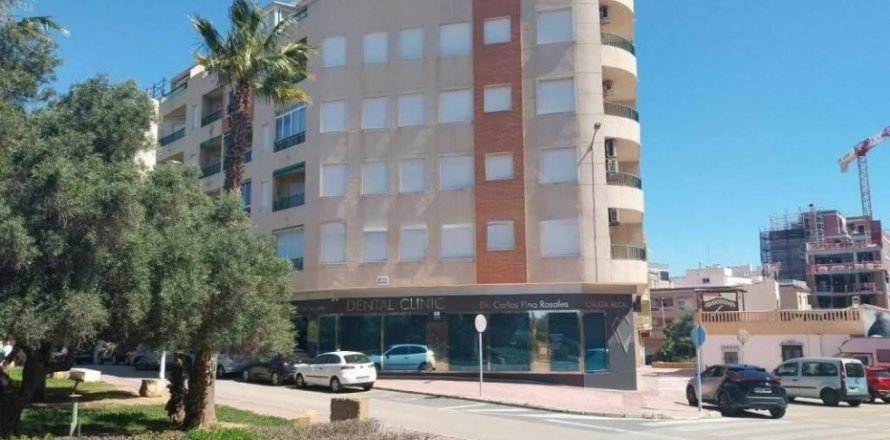 Huoneisto Torrevieja, Alicante, Espanja 3 makuuhuonetta, 95 m2 No. 128938