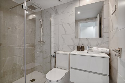 Продажа квартиры в Торревьеха, Аликанте, Испания 2 спальни, 91м2 №122955 - фото 22