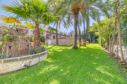 Villa à vendre Palmanova, Mallorca, Espagne, 5 chambres, 750 m2 No. 128295 - photo 2