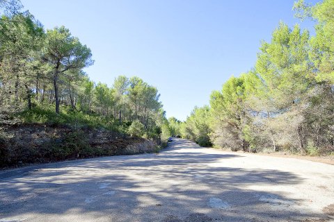 Zemes gabals pārdošanā Son Vida, Mallorca, Spānijā 2200 m2 Nr. 128294 - attēls 3