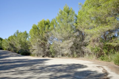 Zemes gabals pārdošanā Son Vida, Mallorca, Spānijā 2200 m2 Nr. 128294 - attēls 1