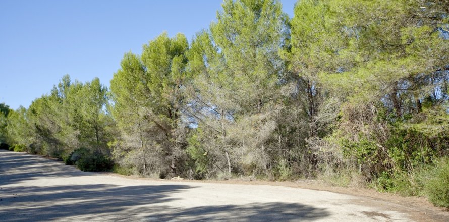 Zemes gabals Son Vida, Mallorca, Spānijā 2200 m2 Nr. 128294