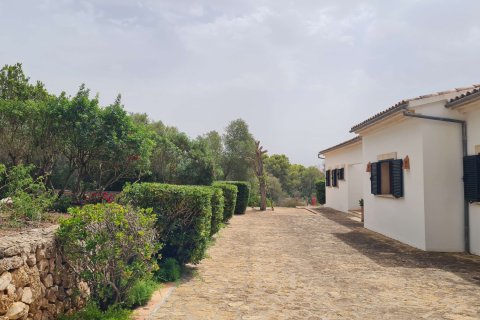 Villa for rent Puntiro, Mallorca, Spain 4 bedrooms, 302 sq.m. No. 131068 - photo 17