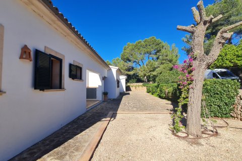 Villa for rent Puntiro, Mallorca, Spain 4 bedrooms, 302 sq.m. No. 131068 - photo 21
