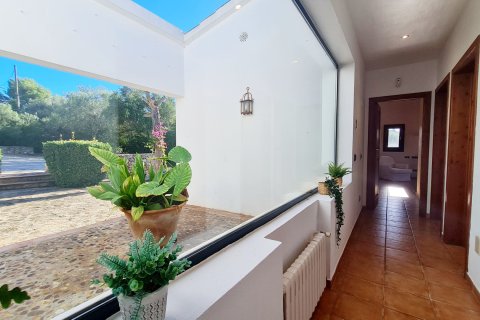 Villa for rent Puntiro, Mallorca, Spain 4 bedrooms, 302 sq.m. No. 131068 - photo 11