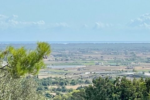 Villa zur Miete Campanet, Mallorca, Spanien 3 Schlafzimmer, 81 m2 Nr. 131067 - Foto 17