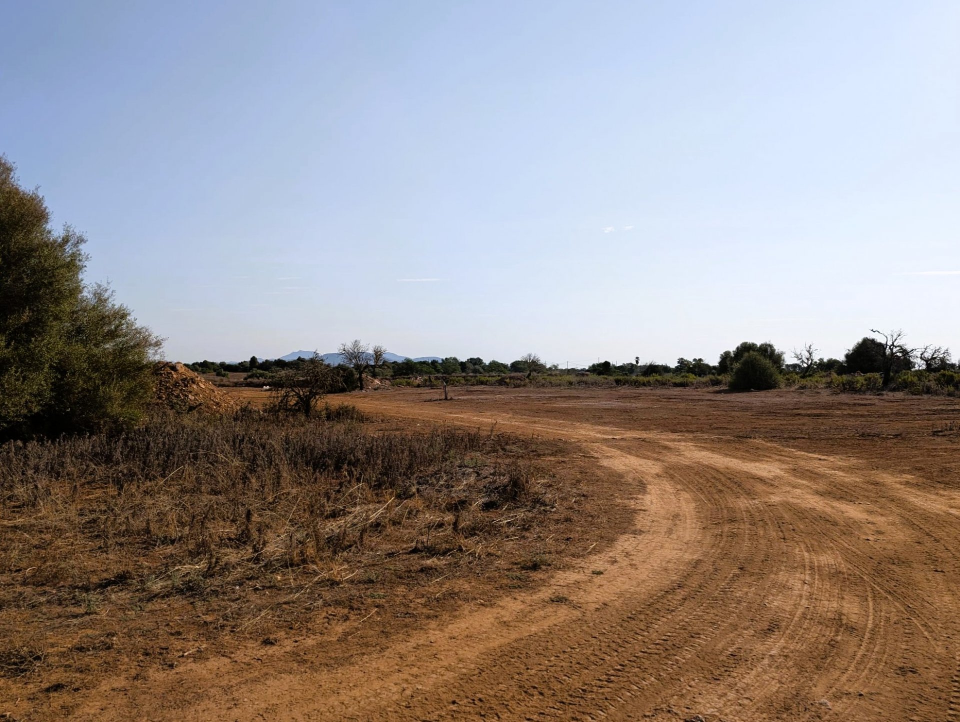 Terreno a Santanyi, Mallorca, Spagna 14557 mq. N° 131032