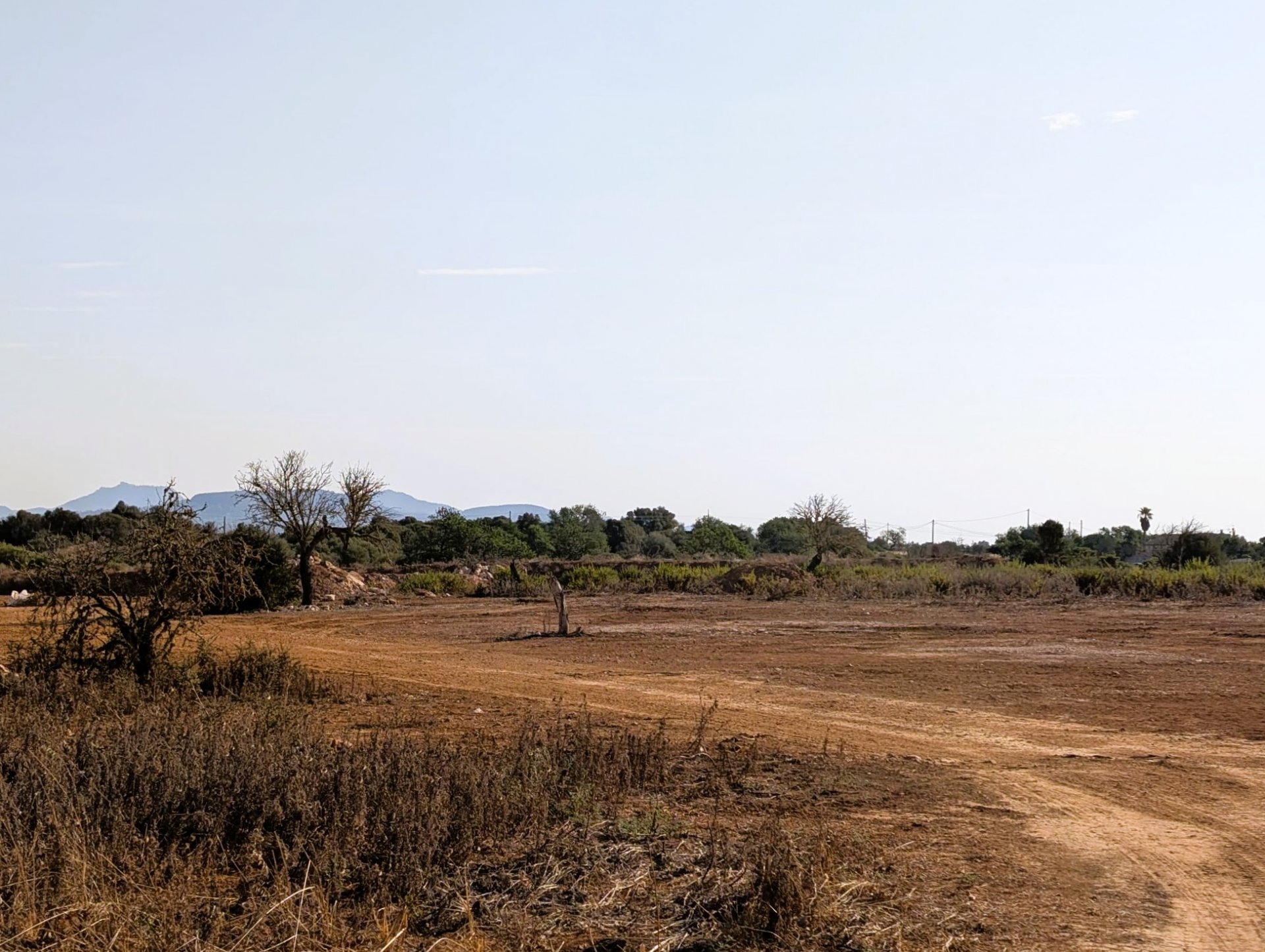 Terreno a Santanyi, Mallorca, Spagna 14557 mq. N° 131032
