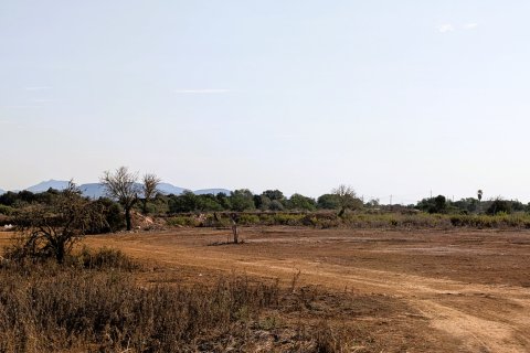 Zemes gabals pārdošanā Santanyi, Mallorca, Spānijā 14557 m2 Nr. 131032 - attēls 3