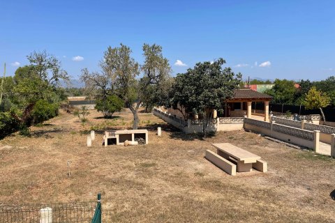 Finca for rent Algaida, Mallorca, Spain 4 bedrooms, 107 sq.m. No. 131031 - photo 18
