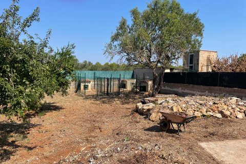 Finca for rent Algaida, Mallorca, Spain 4 bedrooms, 107 sq.m. No. 131031 - photo 14