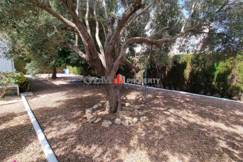 Apartment for sale Los Narejos, Murcia, Spain 3 bedrooms, 111 sq.m. No. 128769 - photo 10