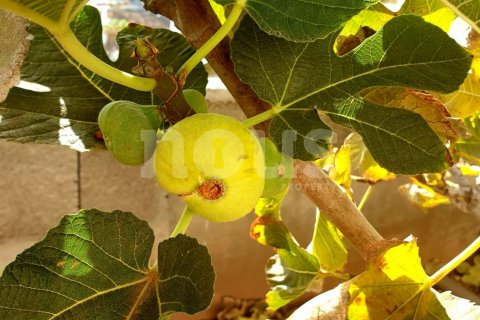 Apartament Los Cristianos, Tenerife, Hiszpania 3 sypialnie, 144 mkw. nr 127598 – zdjęcie 26